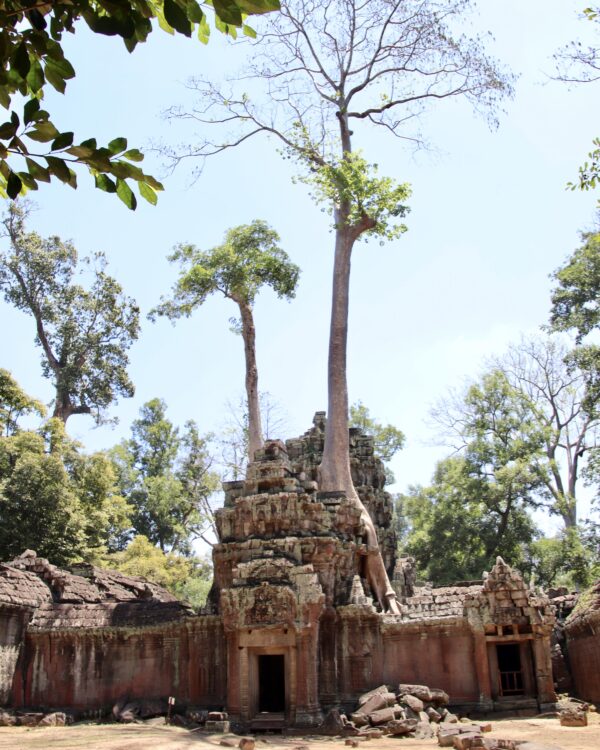 Ta Prohm