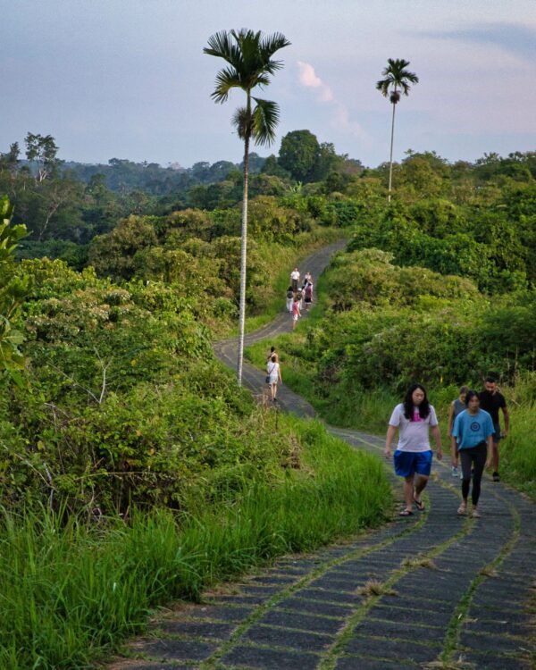 Campuhan Ridge Walk