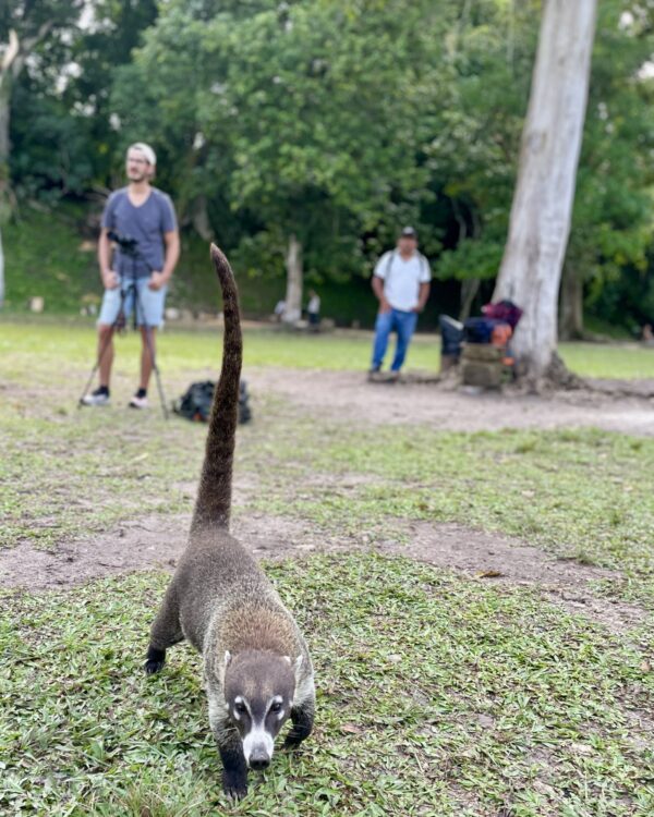 Guatemala Reisebericht