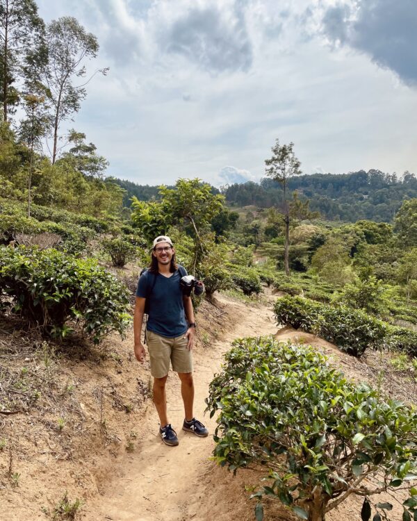 Auf dem Bild zu sehen ist der Wanderweg Ella Rock im Rahmen des Artikels Little Adams Peak Oder Ella Rock