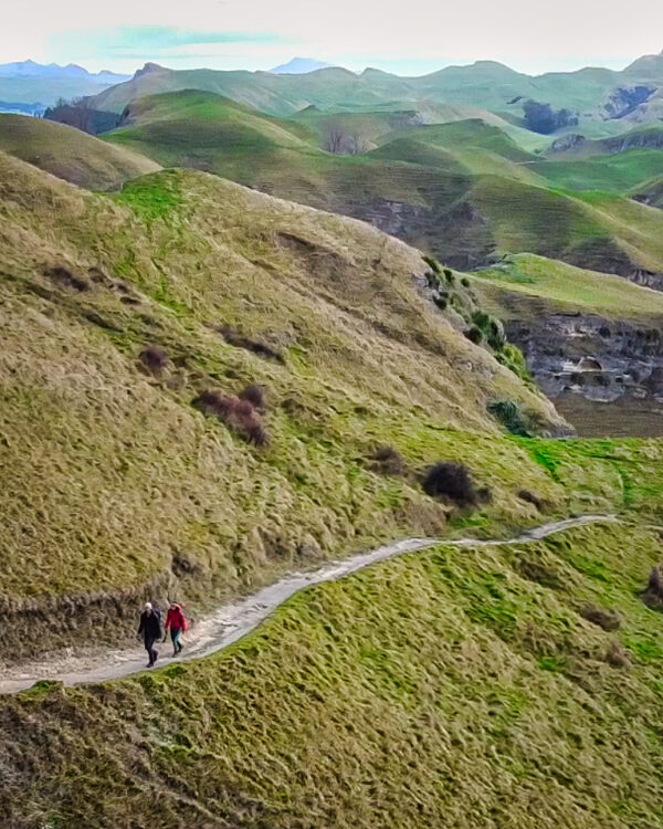 Neuseeland im Winter mit Camper I Te Mata Peak