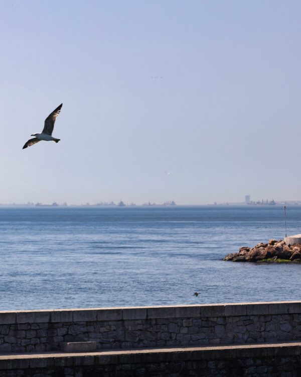 Auf dem Bild zu sehen ist die Küste von Kadiköy im Rahmen von Istanbul Kurztrip Tipps